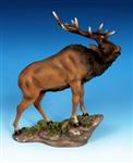 WLT4109 Bugeling Elk